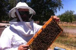 Mel também terá de ser rastreado Mel também terá de ser rastreado